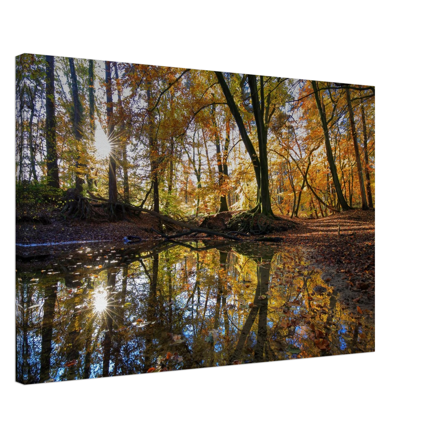 Wandbild goldener herbstwald stimmungsvolle spiegelung der natur in ihrer wunschgroesse