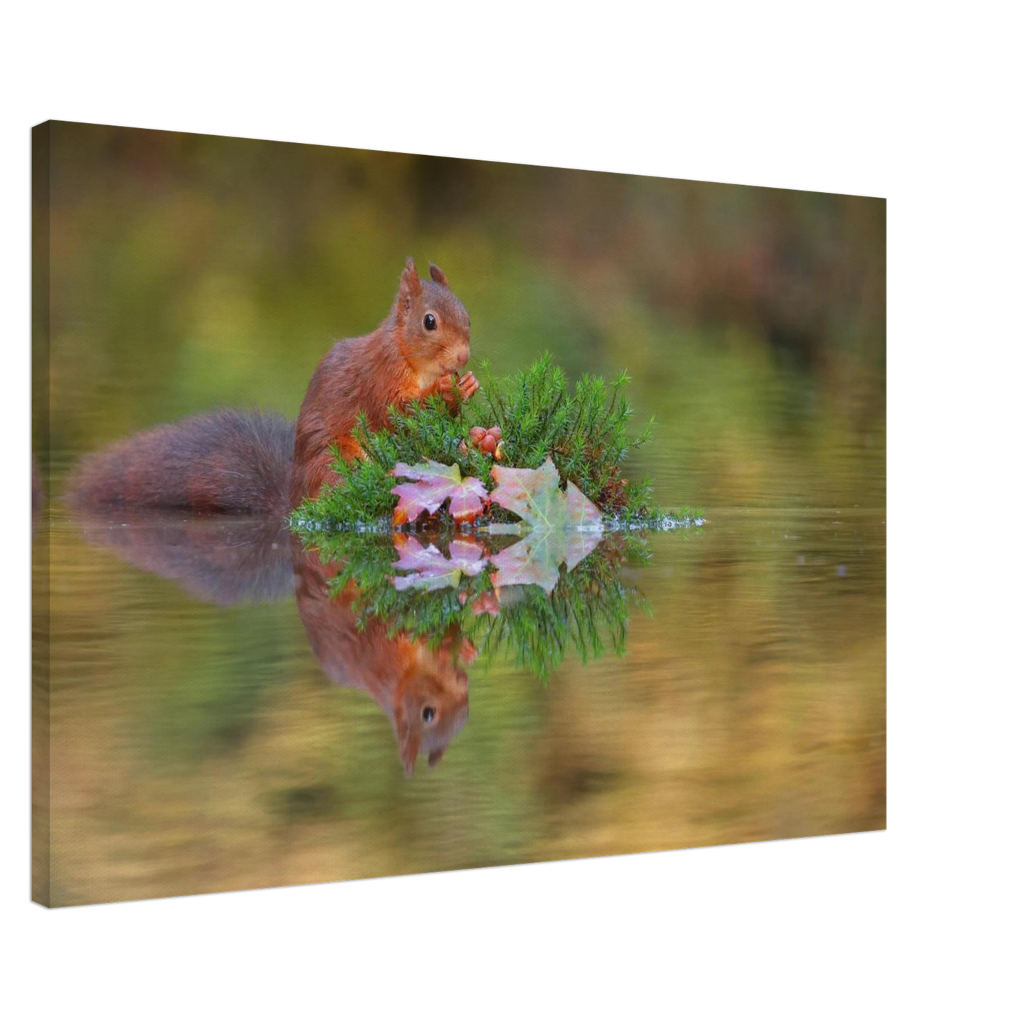Wandbild bezauberndes eichhoernchen im herbstwald lebendige wildtierkunst fuer ihr zuhause in vielen groessen