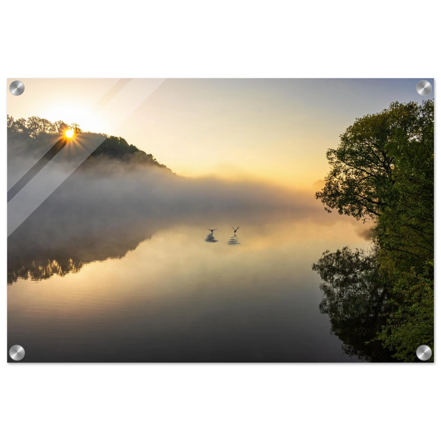 Wandbild mystischer sonnenaufgang ueber dem nebelmeer stille wasser voegel leinwandbild fuer ihr zuhause
