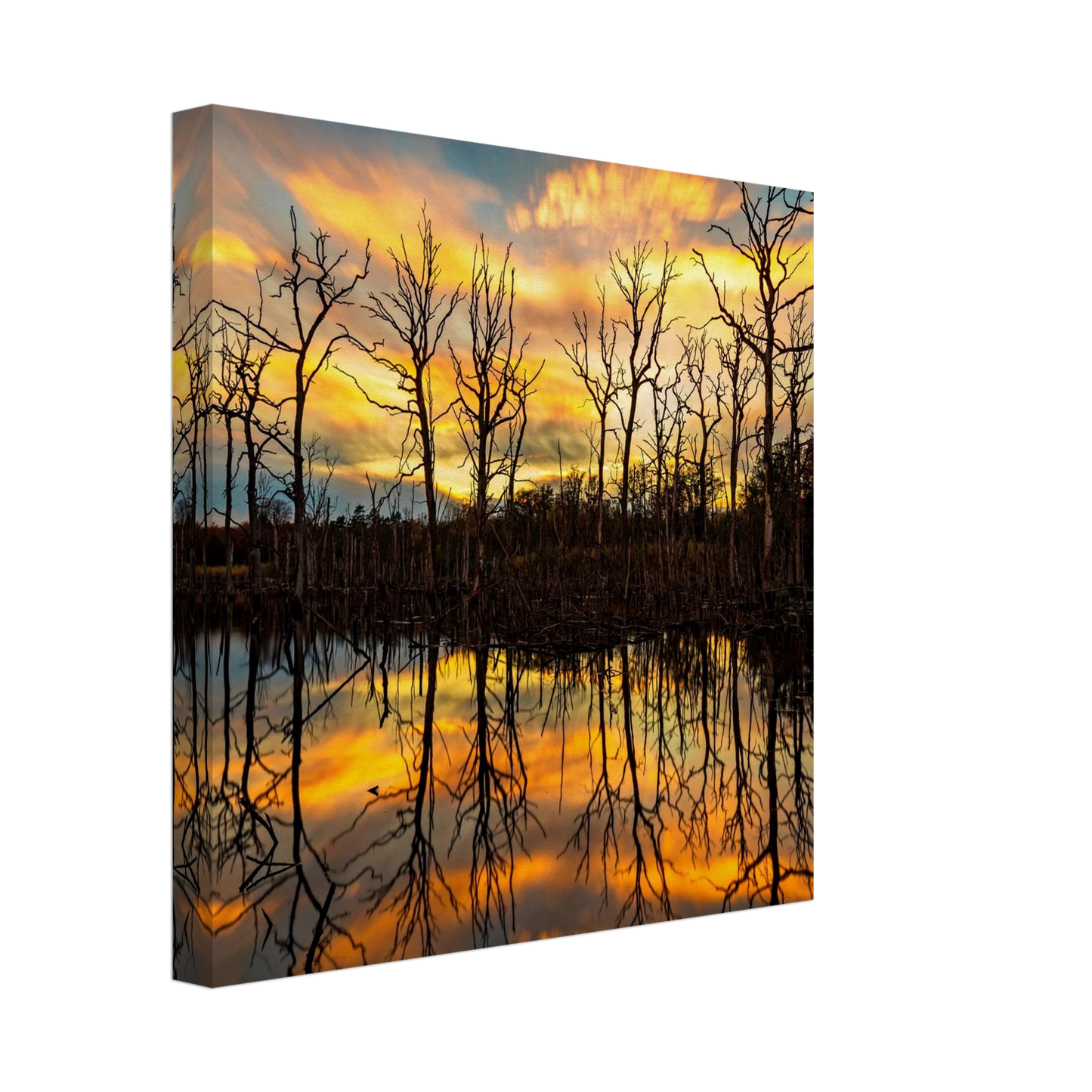 Wandbild mystischer sonnenuntergang ueber dem baumsee lebendige kunstdrucke in vielen groessen