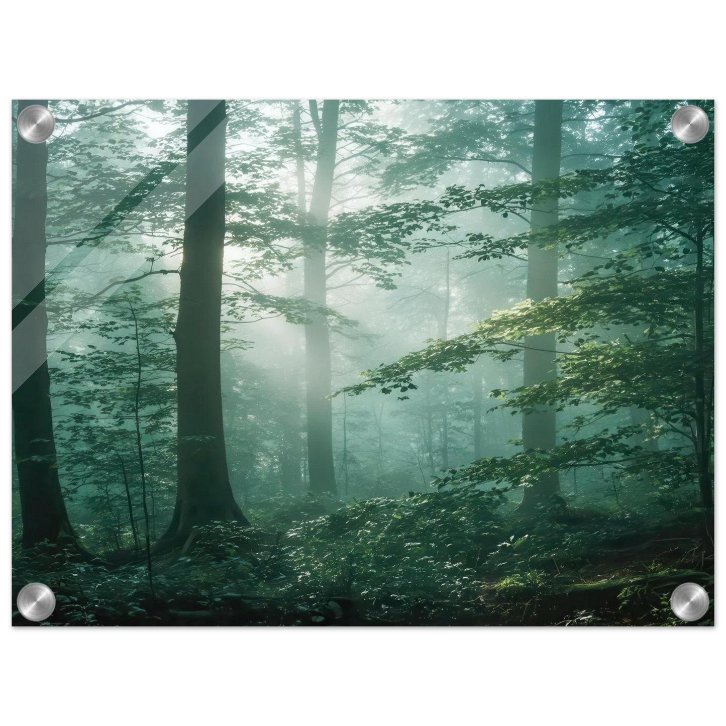 Wandbild mystischer smaragd wald mit sonnenstrahlen beruhigende nebelwald kunst in ihrer wunschgroesse