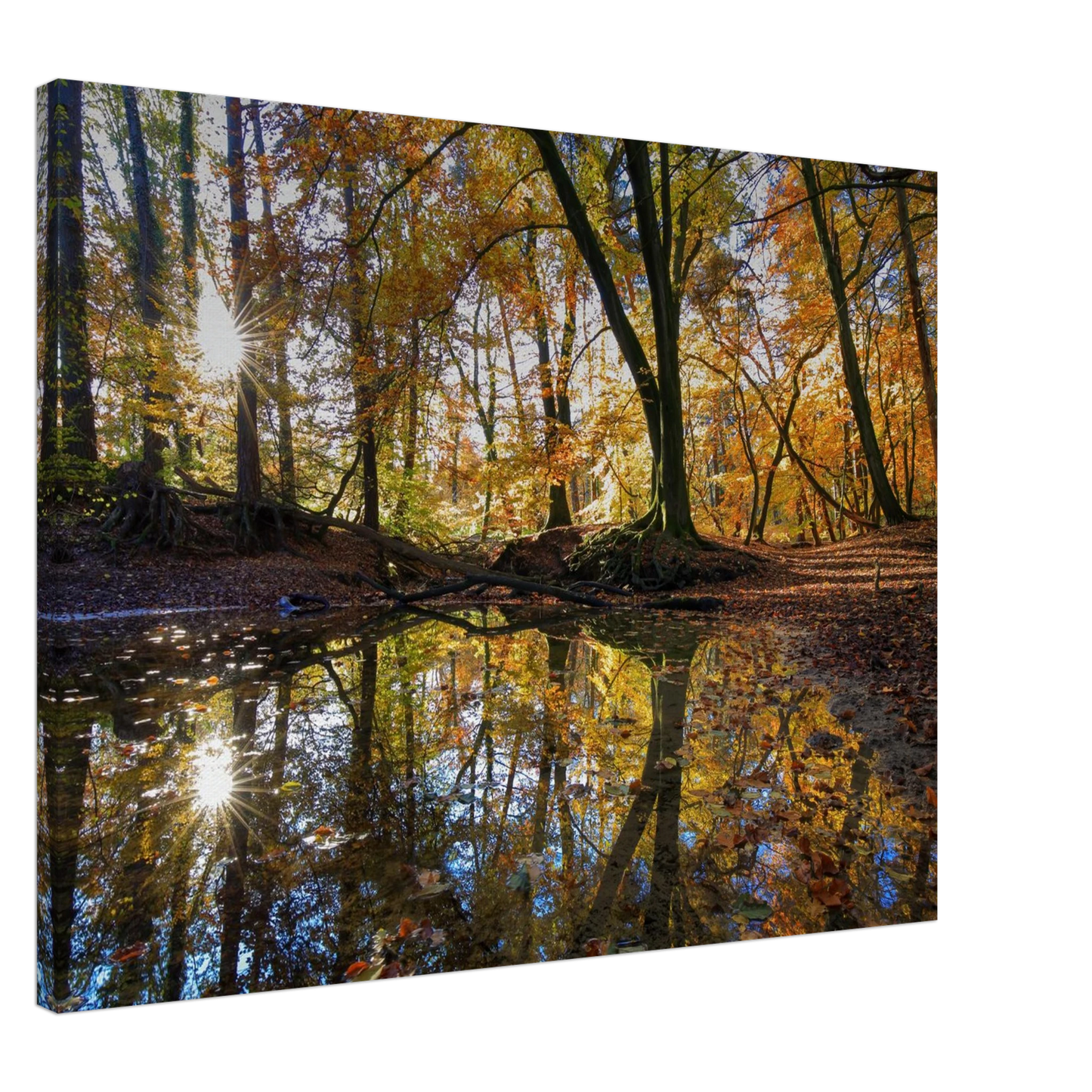 Wandbild goldener herbstwald stimmungsvolle spiegelung der natur in ihrer wunschgroesse