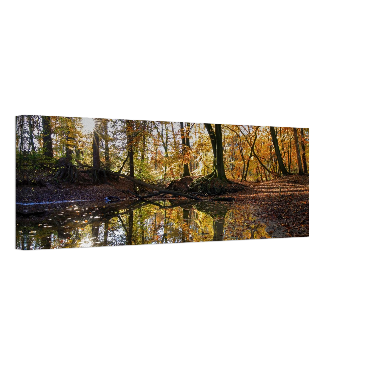 Wandbild goldener herbstwald stimmungsvolle spiegelung der natur in ihrer wunschgroesse