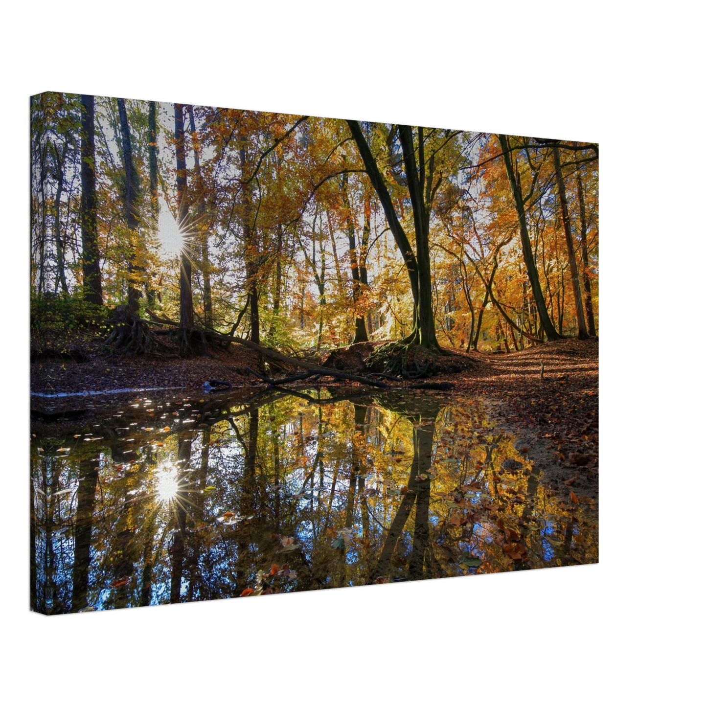 Wandbild goldener herbstwald stimmungsvolle spiegelung der natur in ihrer wunschgroesse