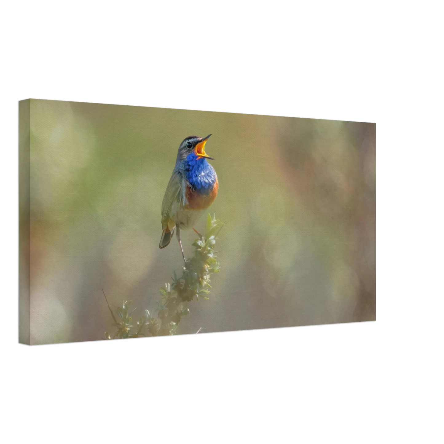 Wandbild singvogel in blautoenen lebendige vogelkunst fuer ihr zuhause in ihrer wunschgroesse