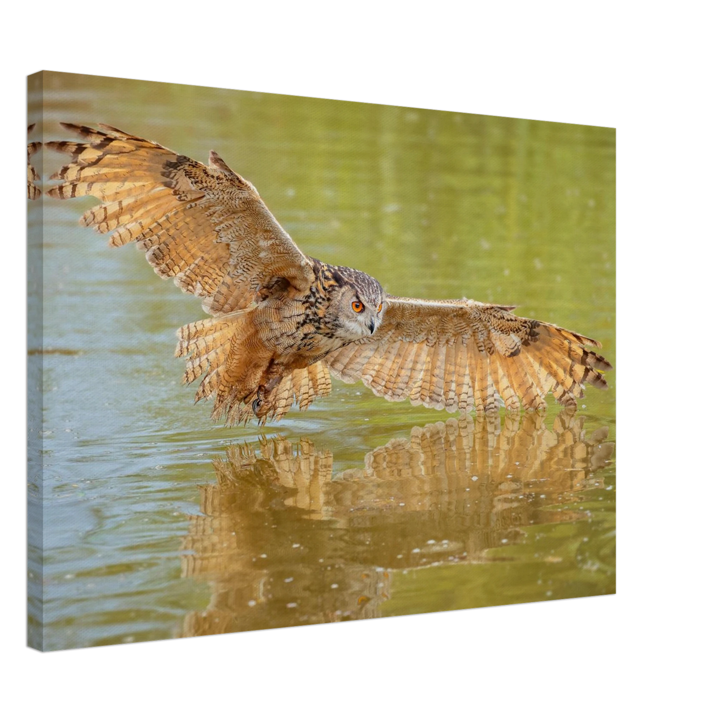 Wandbild majestaetischer uhu im jagdflug atemberaubende wildtierkunst in verschiedenen groessen