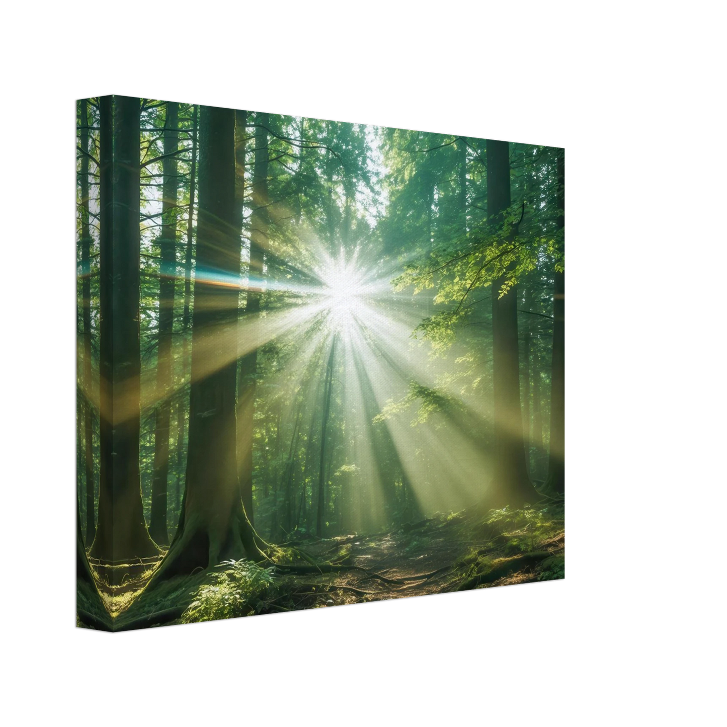 Wandbild sonnenstrahlen im wald mystisches waldlicht kunstdruck in ihrer wunschgroesse