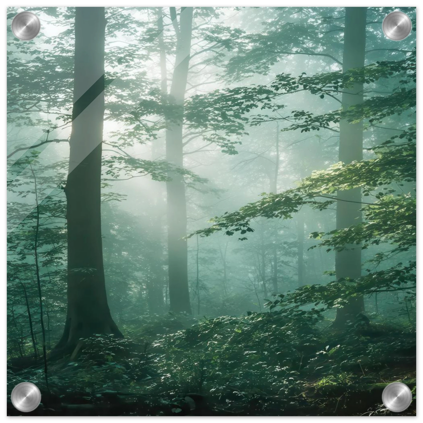 Wandbild mystischer smaragd wald mit sonnenstrahlen beruhigende nebelwald kunst in ihrer wunschgroesse