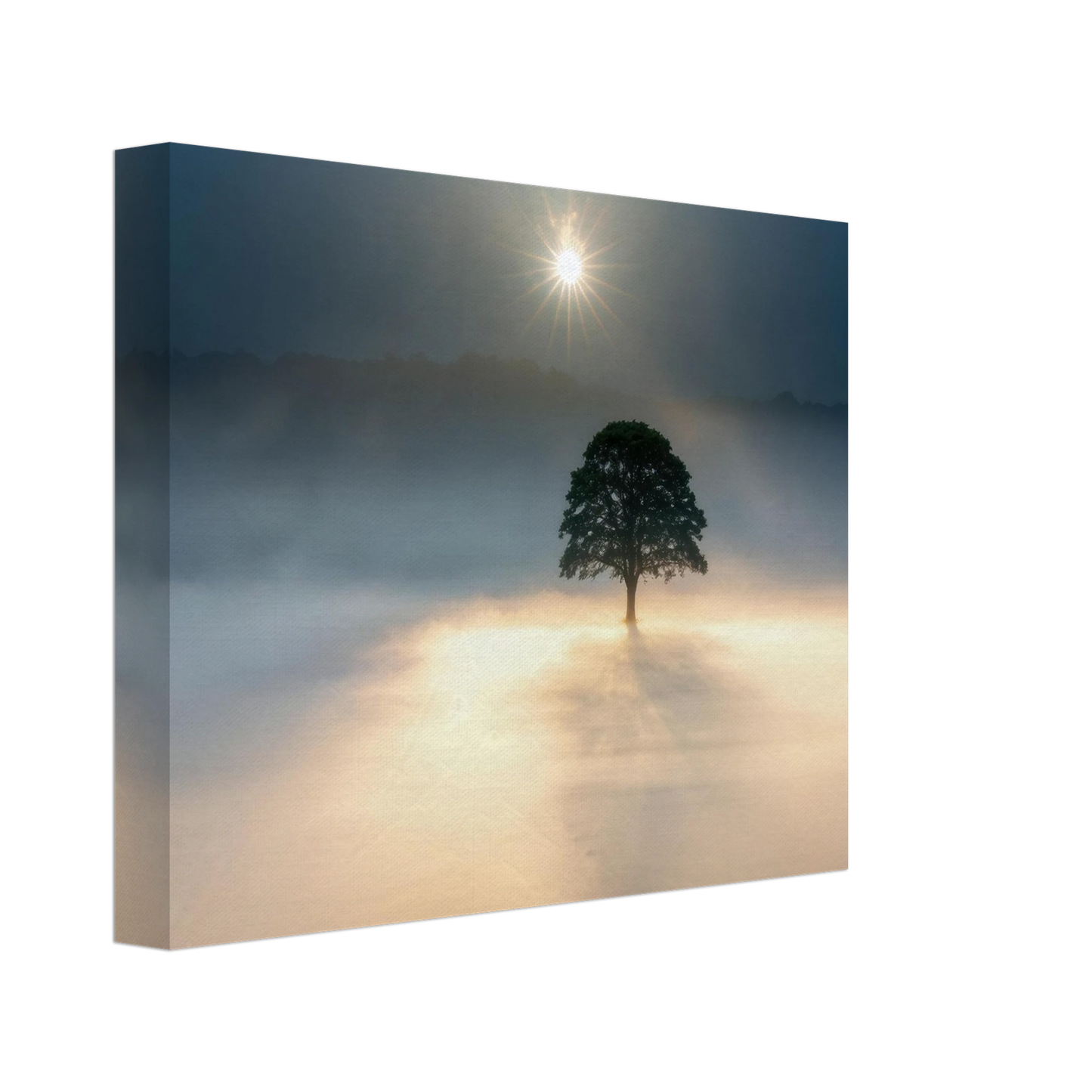 Wandbild mystisches baum wandbild einzelner baum im nebel sonnenaufgang waehlbar in verschiedenen groessen
