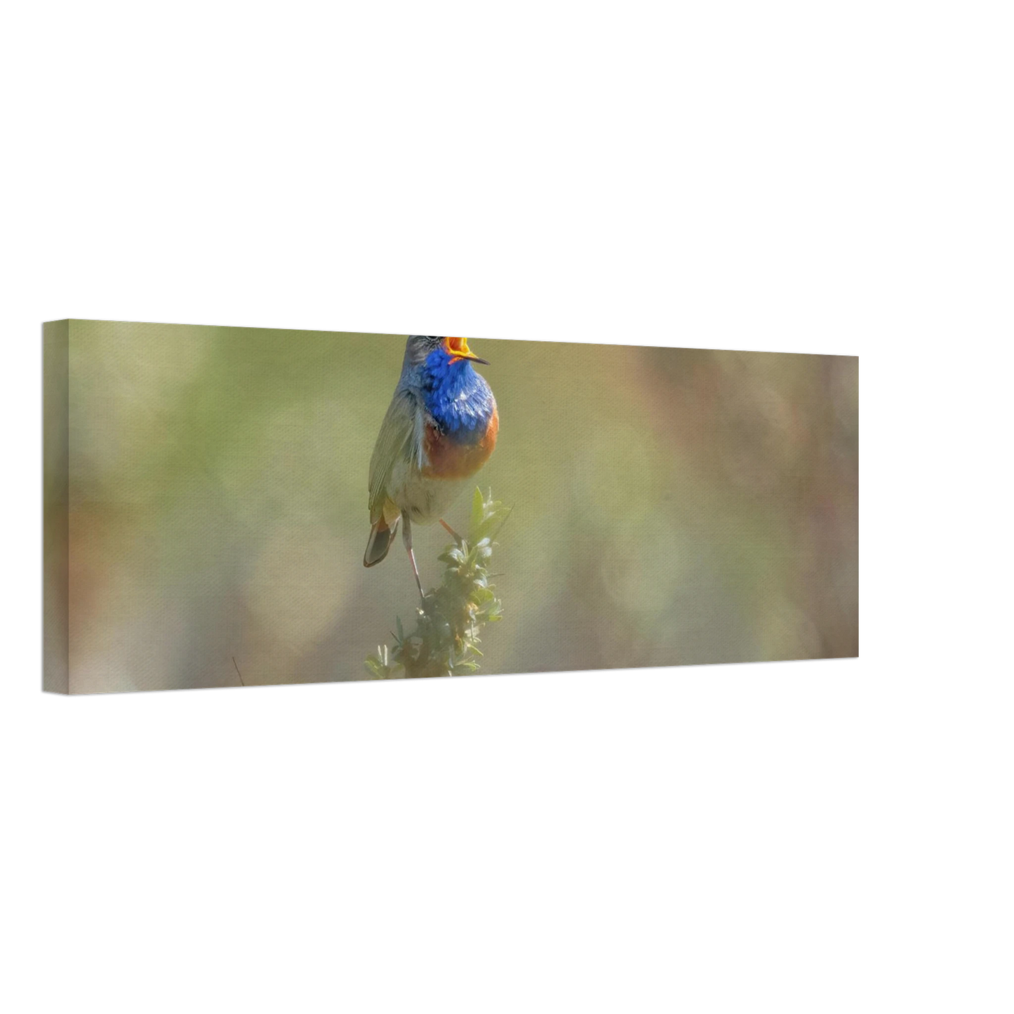 Wandbild singvogel in blautoenen lebendige vogelkunst fuer ihr zuhause in ihrer wunschgroesse