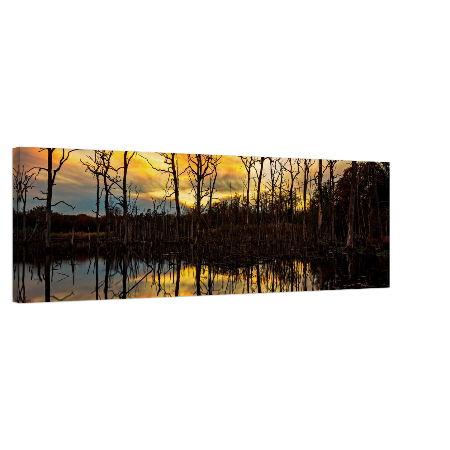 Wandbild mystischer sonnenuntergang ueber dem baumsee lebendige kunstdrucke in vielen groessen