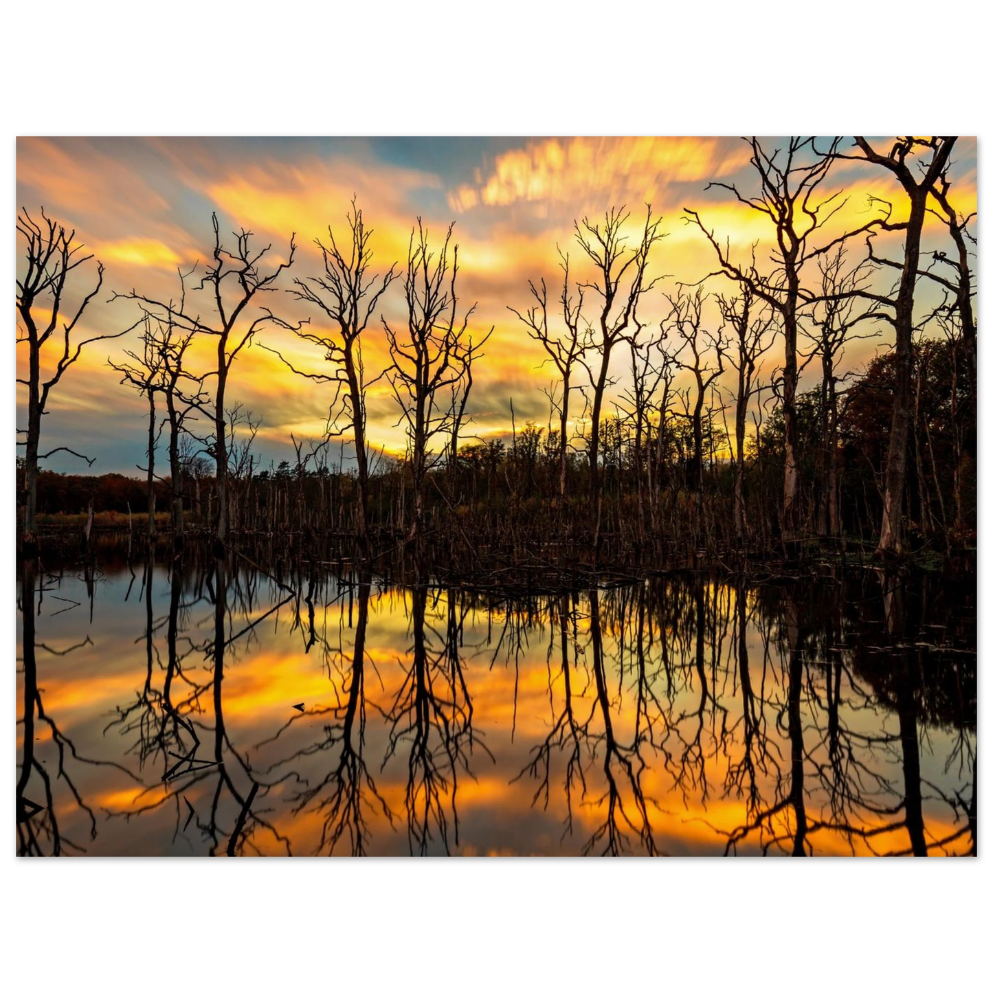 Wandbild mystischer sonnenuntergang ueber dem baumsee lebendige kunstdrucke in vielen groessen