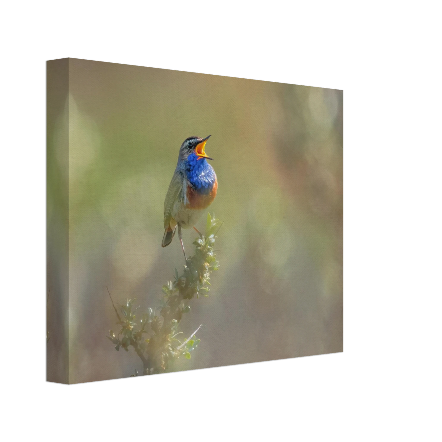 Wandbild singvogel in blautoenen lebendige vogelkunst fuer ihr zuhause in ihrer wunschgroesse