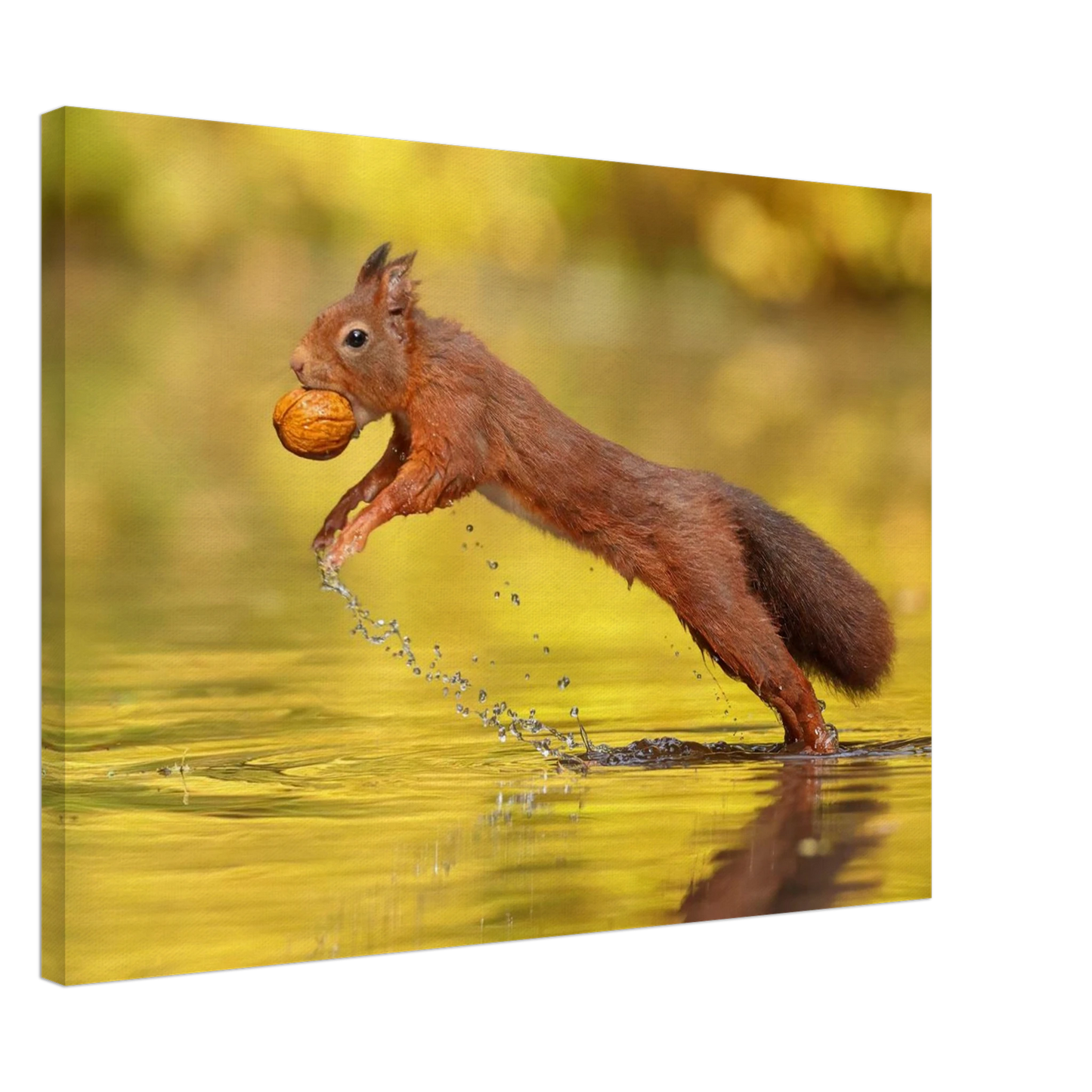 Wandbild eichhoernchen dynamische eichhoernchen kunst in lebhaften herbsttoenen