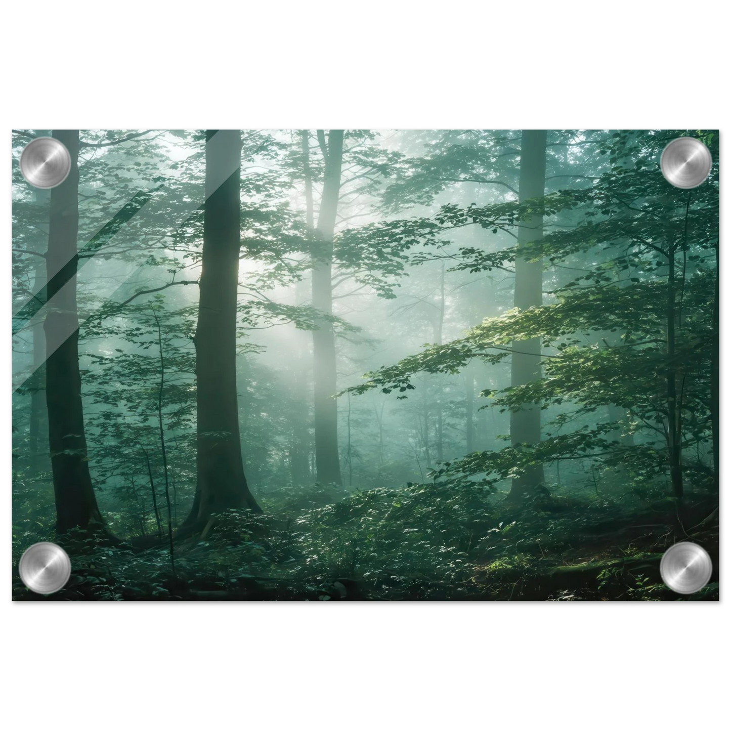 Wandbild mystischer smaragd wald mit sonnenstrahlen beruhigende nebelwald kunst in ihrer wunschgroesse