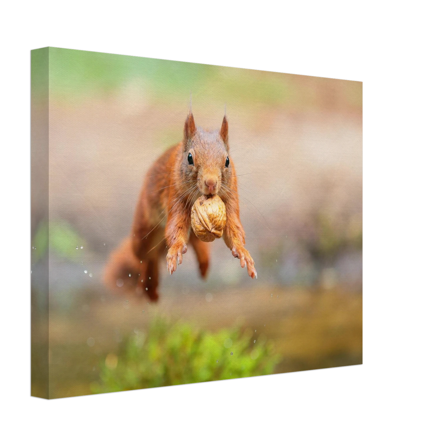 Wandbild eichhoernchens freudensprung dynamische tierkunst in leuchtenden farben