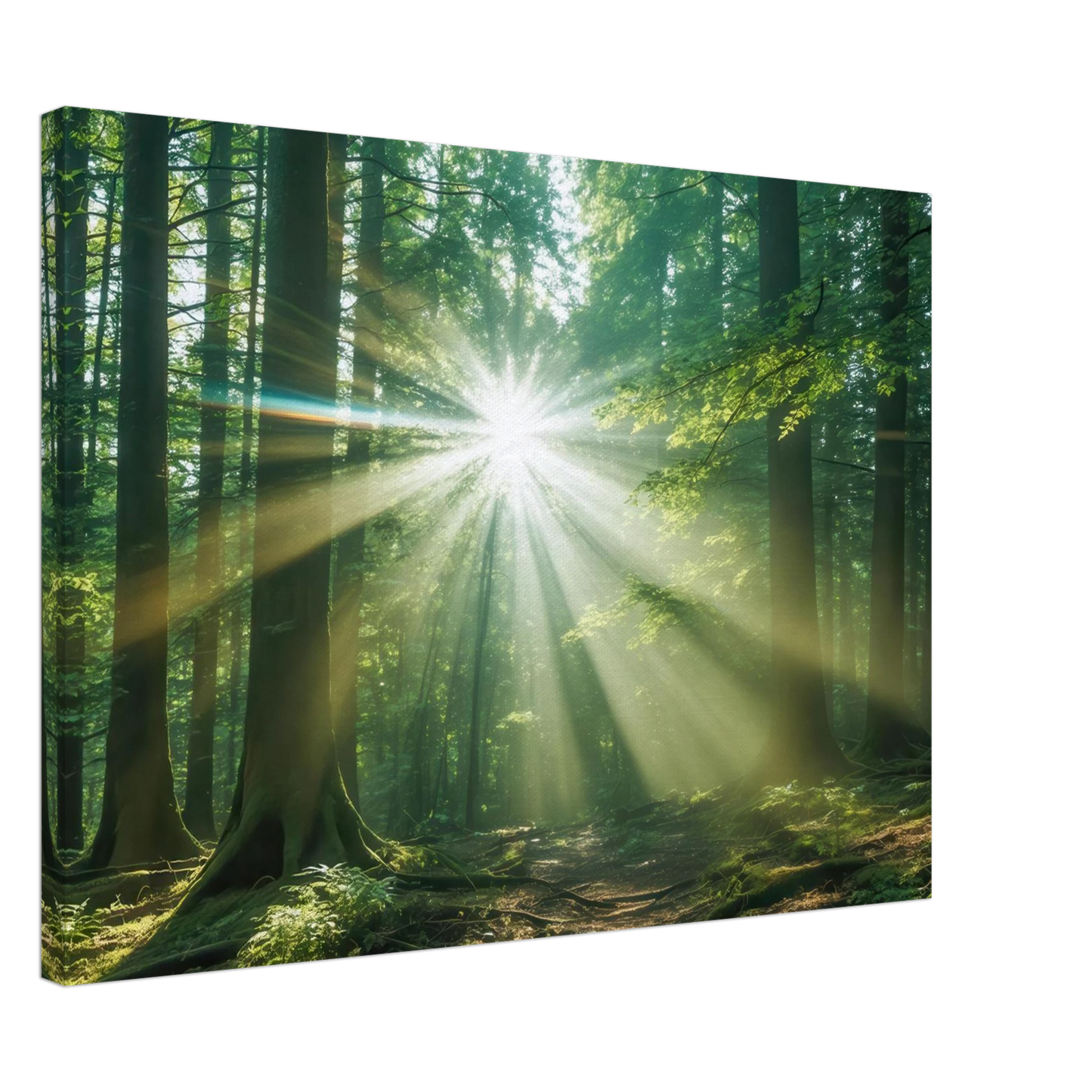 Wandbild sonnenstrahlen im wald mystisches waldlicht kunstdruck in ihrer wunschgroesse