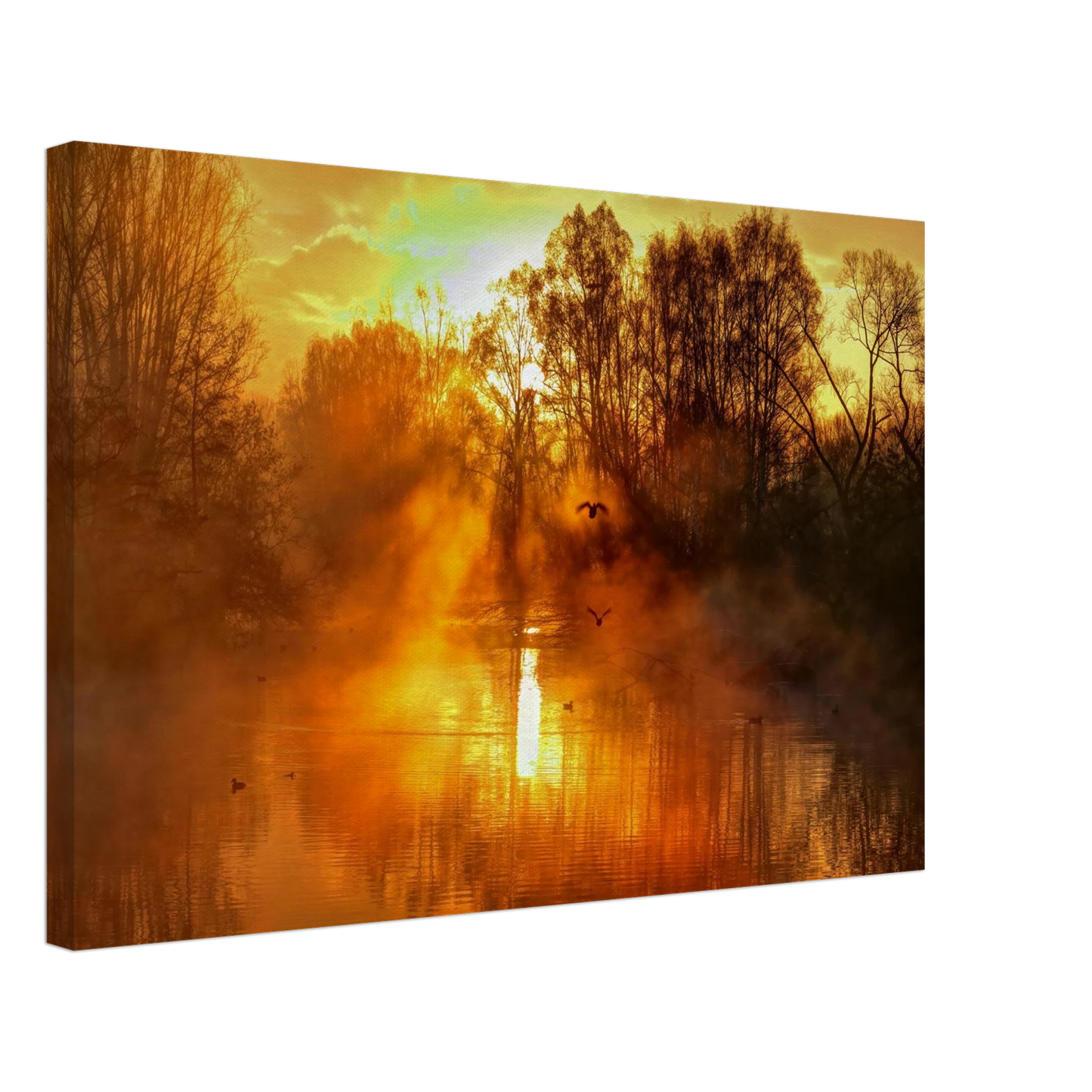 Wandbild Goldene morgenroete wandbild nebelwald poster in 25 groessenausfuehrungen