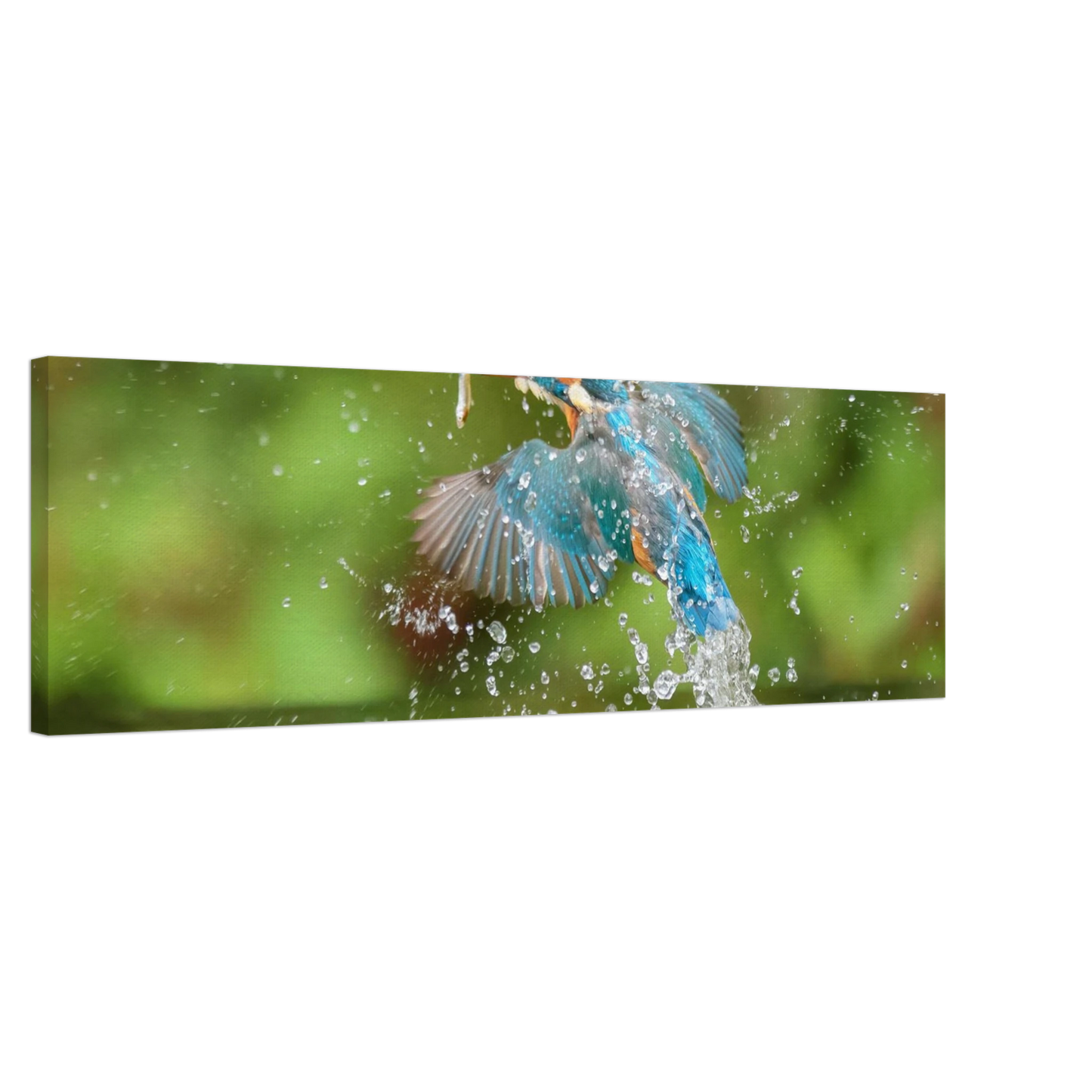 Wandbild eisvogel im sturzflug lebendige wildtierkunst fuer ihr zuhause