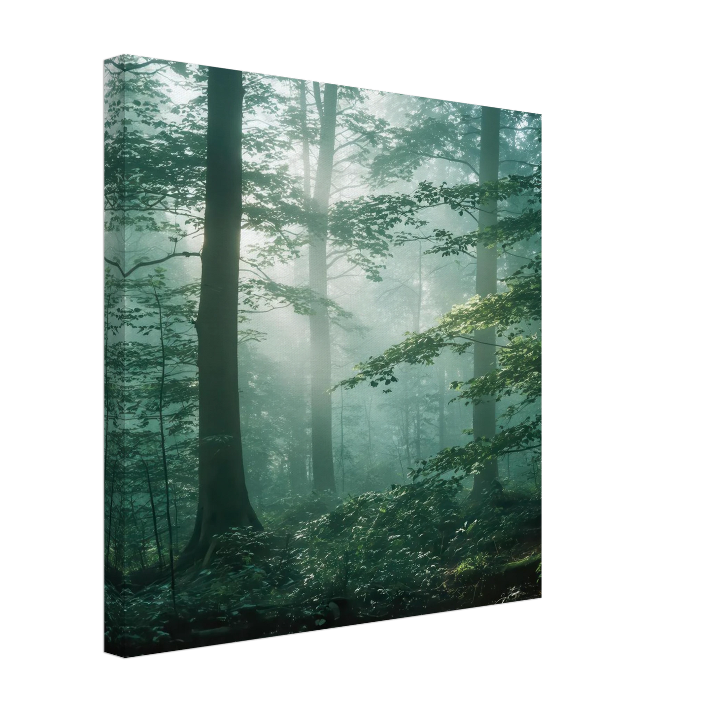 Wandbild mystischer smaragd wald mit sonnenstrahlen beruhigende nebelwald kunst in ihrer wunschgroesse