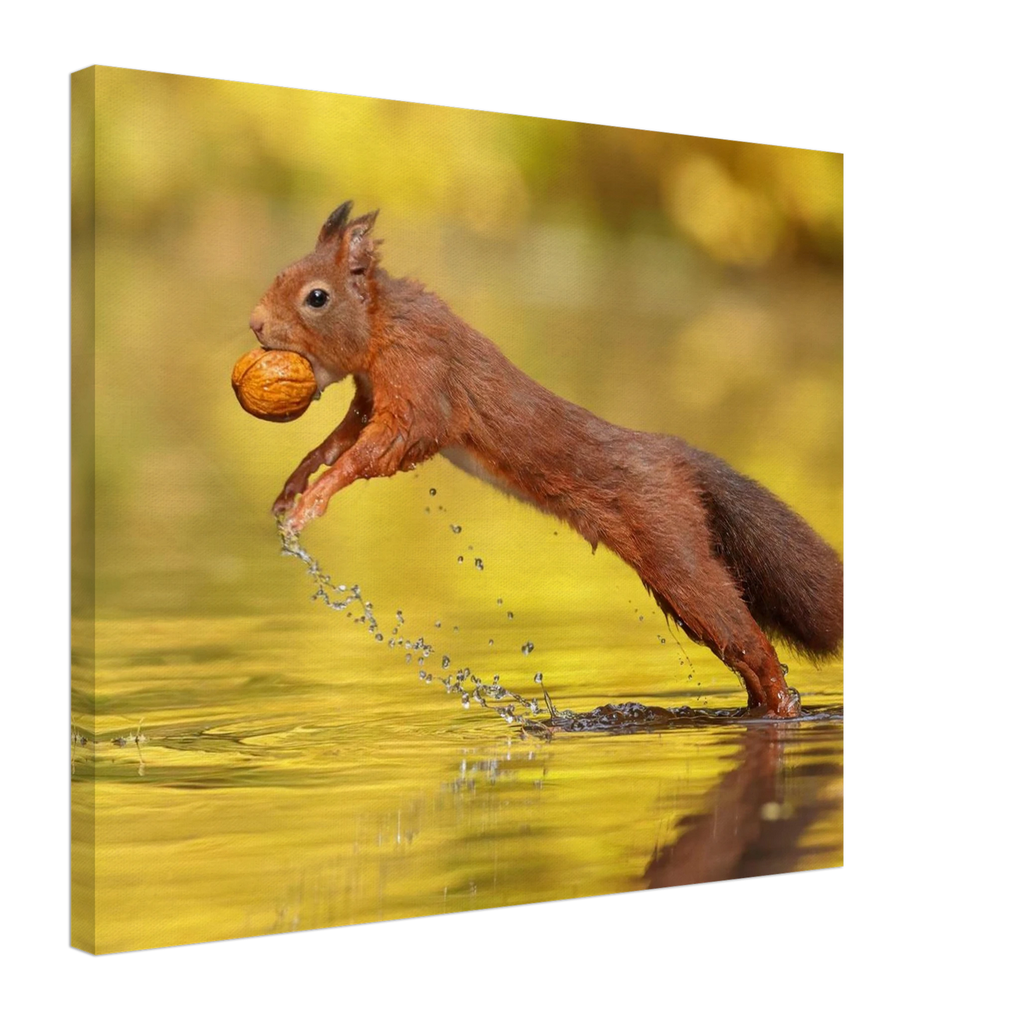 Wandbild eichhoernchen dynamische eichhoernchen kunst in lebhaften herbsttoenen