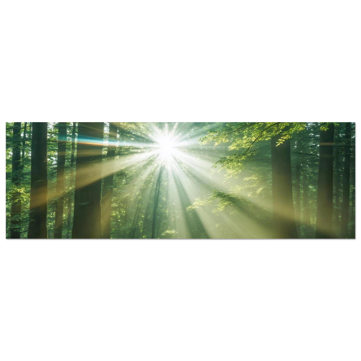 Wandbild sonnenstrahlen im wald mystisches waldlicht kunstdruck in ihrer wunschgroesse