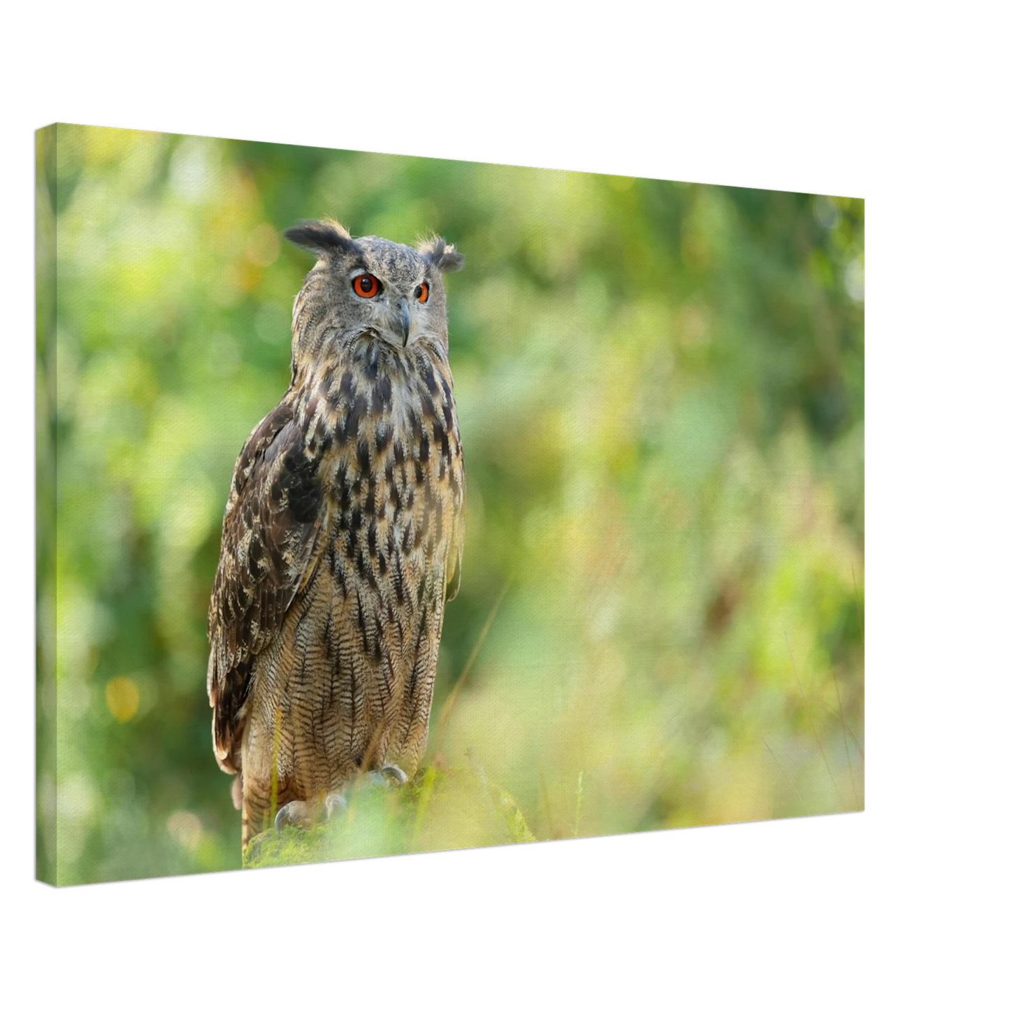 Wandbild mystische eule majestaetisches waldtier mit leuchtenden augen in ihrer wunschgroesse