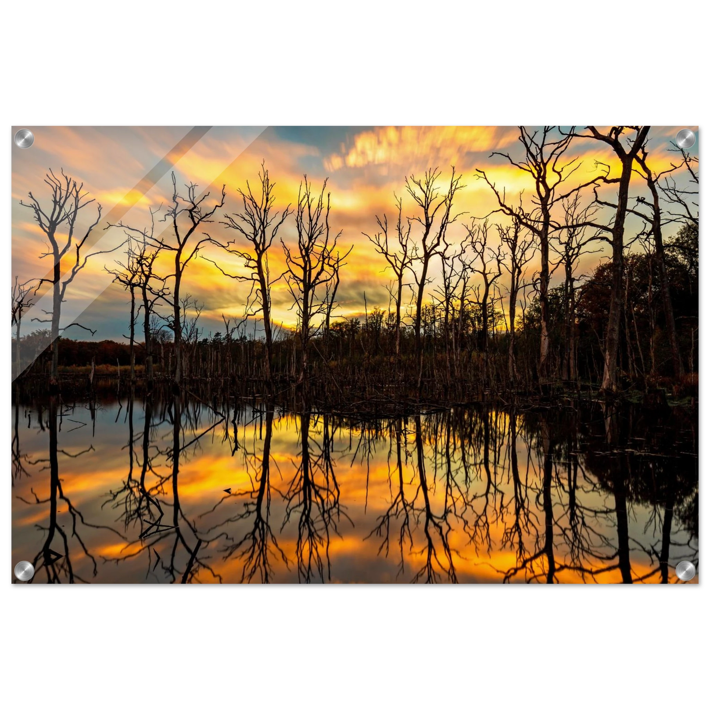 Wandbild mystischer sonnenuntergang ueber dem baumsee lebendige kunstdrucke in vielen groessen