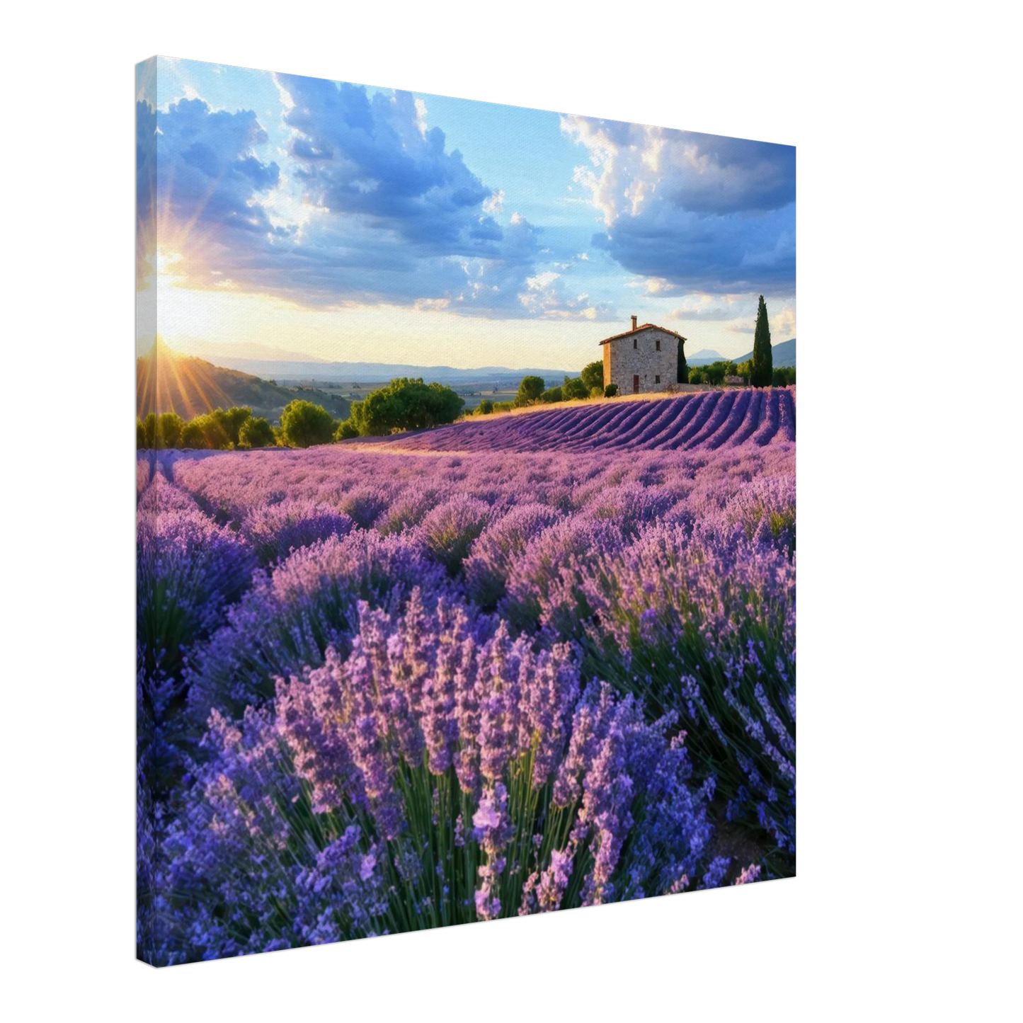 Wandbild sonnenuntergang ueber lavendelfeldern idyllische provence landschaft im wunschformat