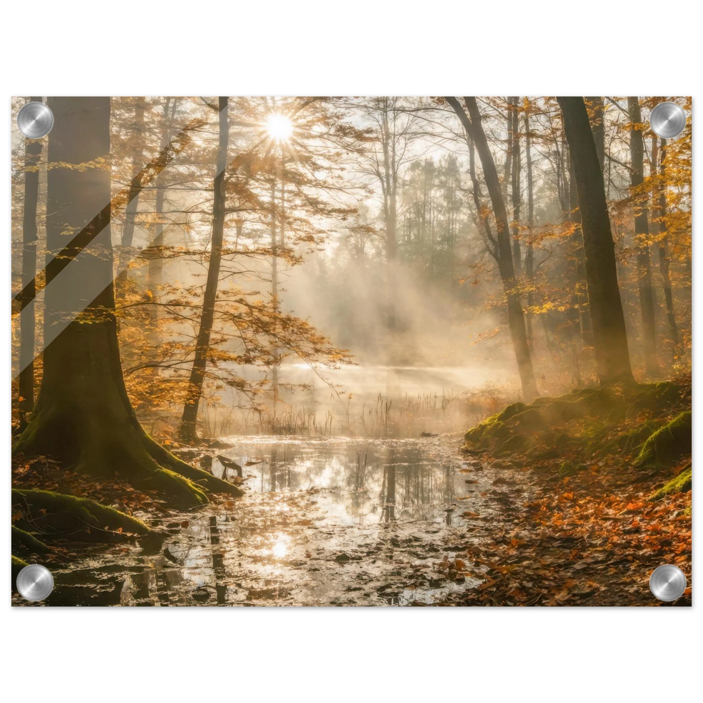 4d542269-9c10-4794-97b1-cc7f1614d16e