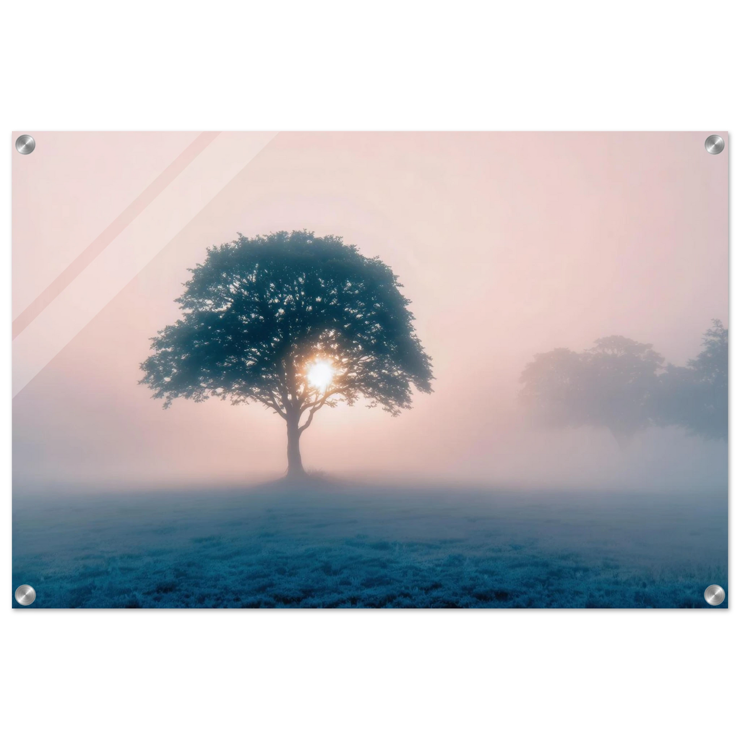 Wandbild mystischer morgendaemmerung baum traumhaftes landschaftsbild fuer ihre wohlfuehloase