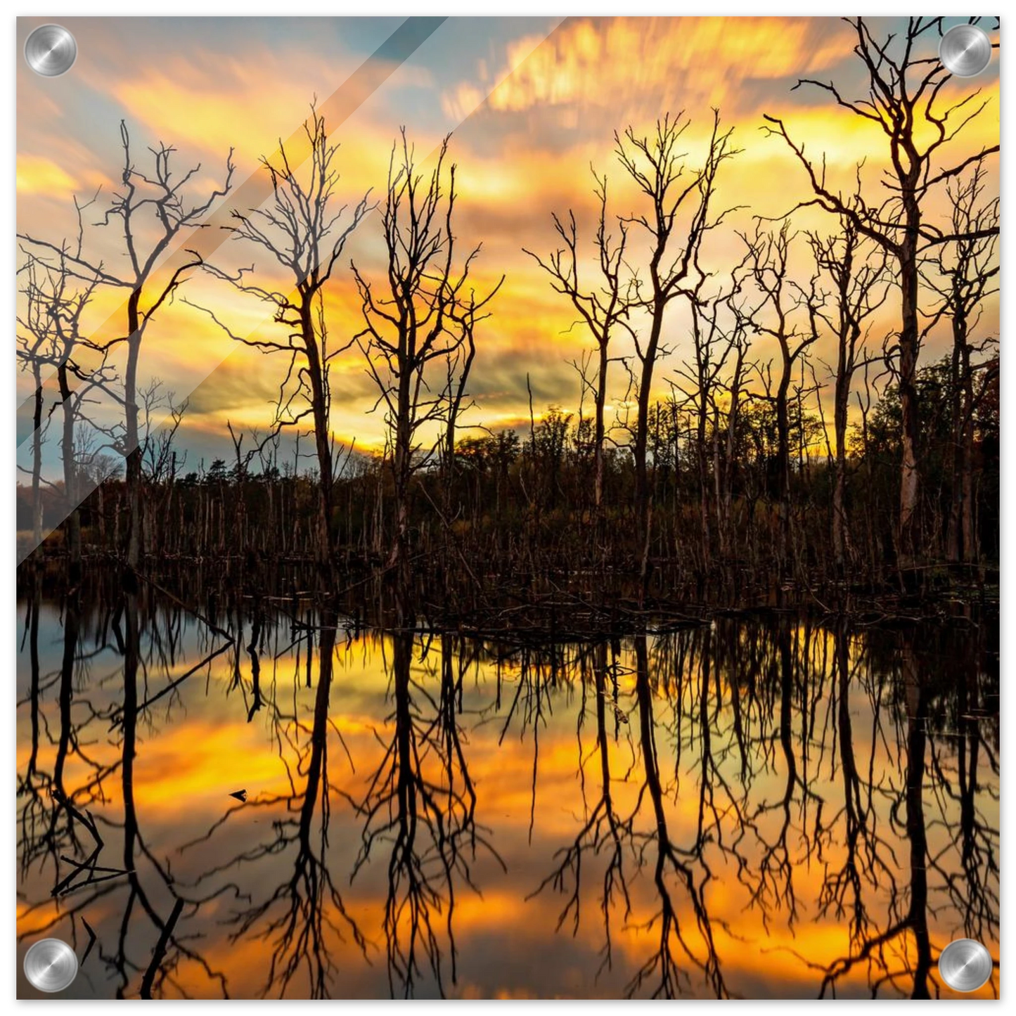 Wandbild mystischer sonnenuntergang ueber dem baumsee lebendige kunstdrucke in vielen groessen