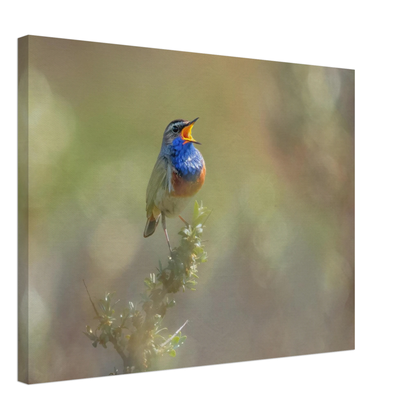 Wandbild singvogel in blautoenen lebendige vogelkunst fuer ihr zuhause in ihrer wunschgroesse