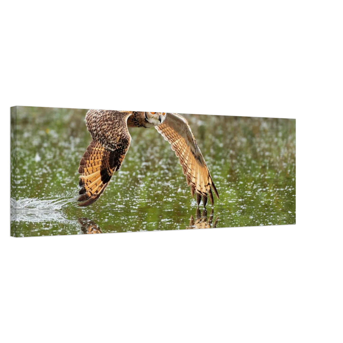 Wandbild majestaetische eule im flug naturfotografie mit lebendigen orangetoenen in ihrer wunschgroesse