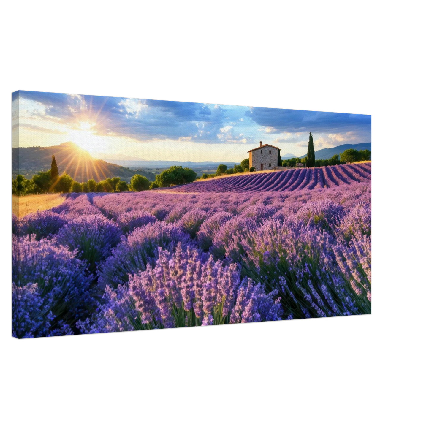 Wandbild sonnenuntergang ueber lavendelfeldern idyllische provence landschaft im wunschformat