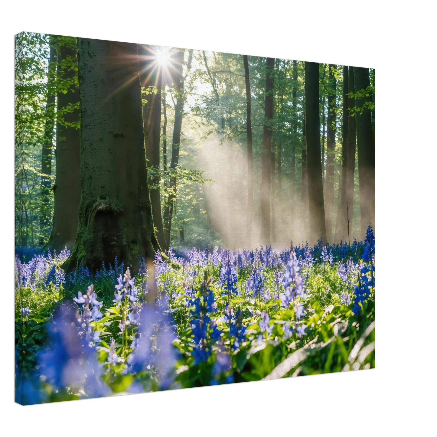 Wandbild mystische waldlichtung mit blauen glockenblumen sonnenverwoehntes naturbild in verschiedenen groessen