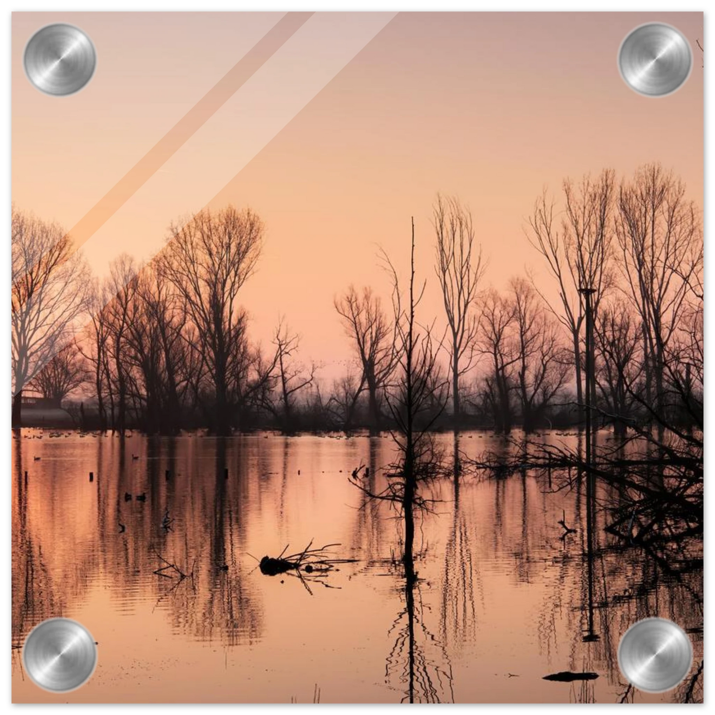 Wandbild mystischer sonnenuntergang am see vertraeumtes naturbild zum aufhaengen in ihrer wunschgroesse