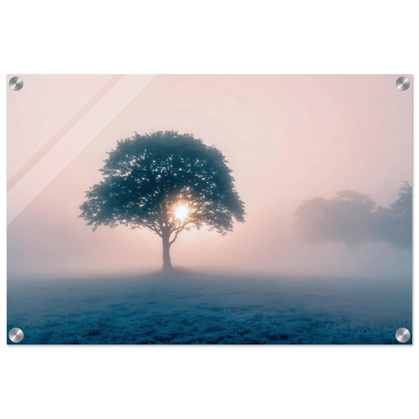 Wandbild mystischer morgendaemmerung baum traumhaftes landschaftsbild fuer ihre wohlfuehloase