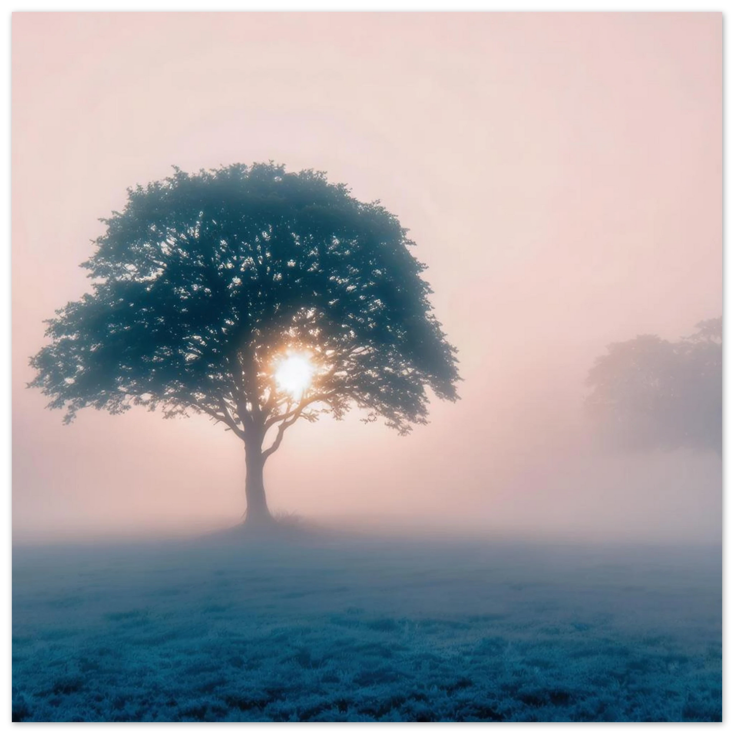 Wandbild mystischer morgendaemmerung baum traumhaftes landschaftsbild fuer ihre wohlfuehloase