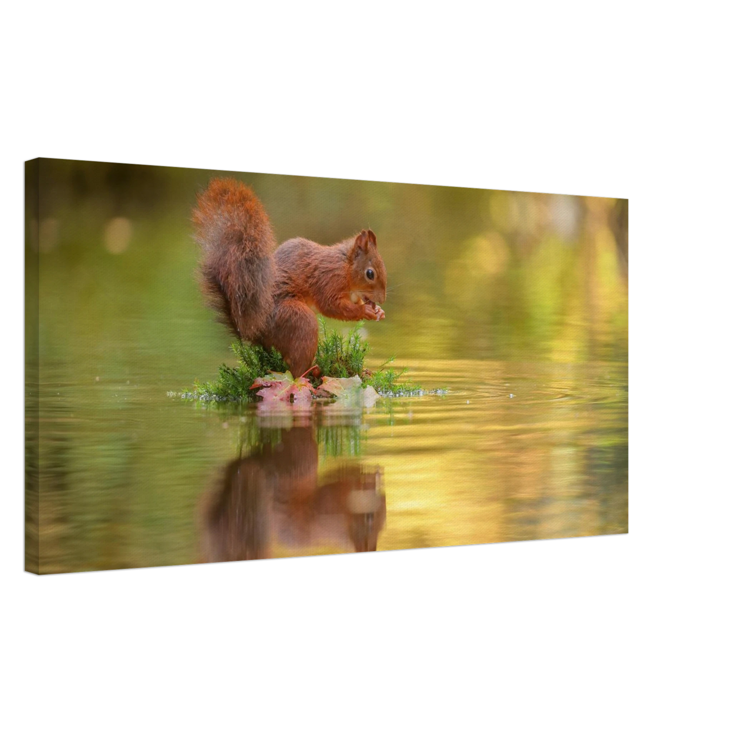 Wandbild bezauberndes eichhoernchen mit nuss lebendige wildtierkunst fuer ihr zuhause