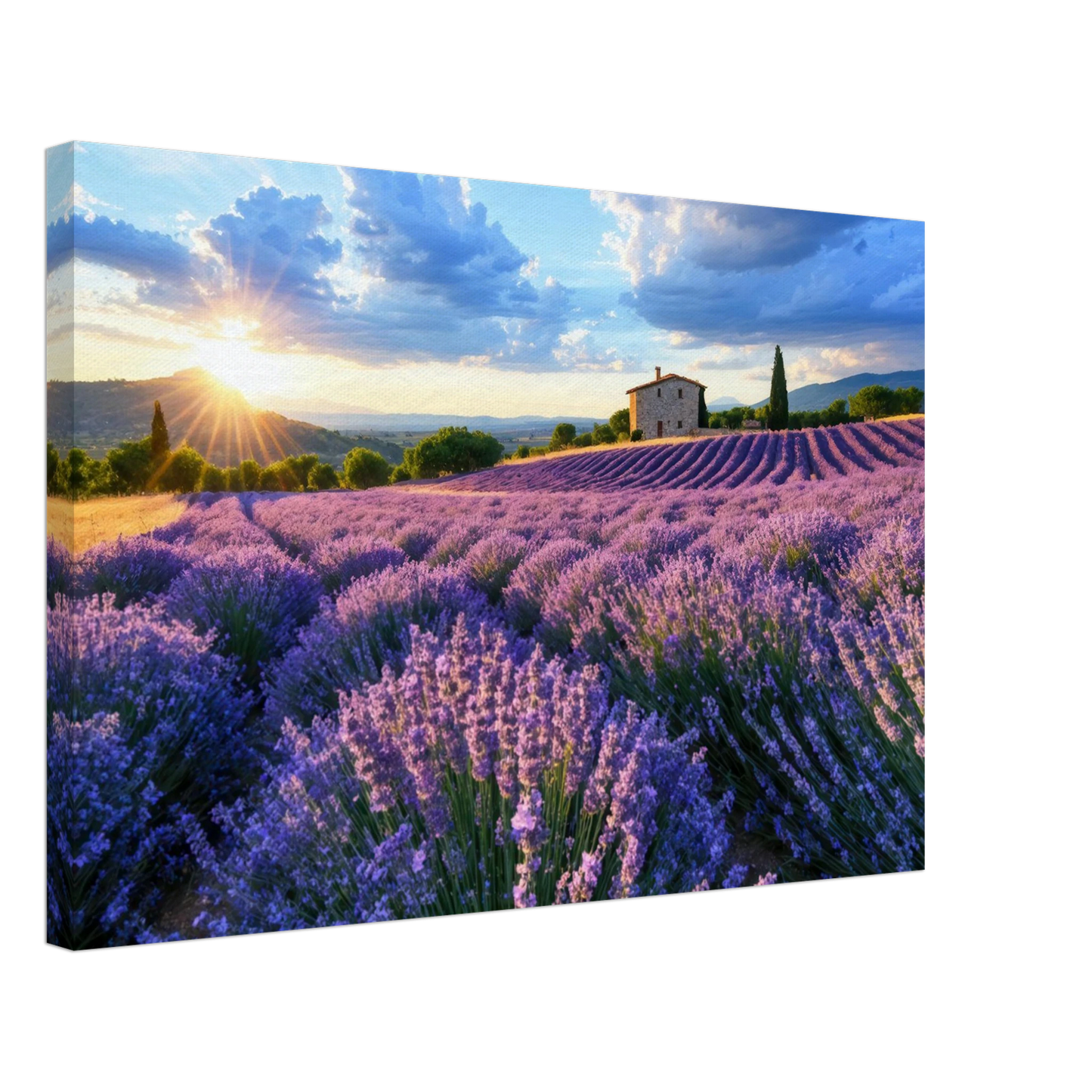Wandbild sonnenuntergang ueber lavendelfeldern idyllische provence landschaft im wunschformat