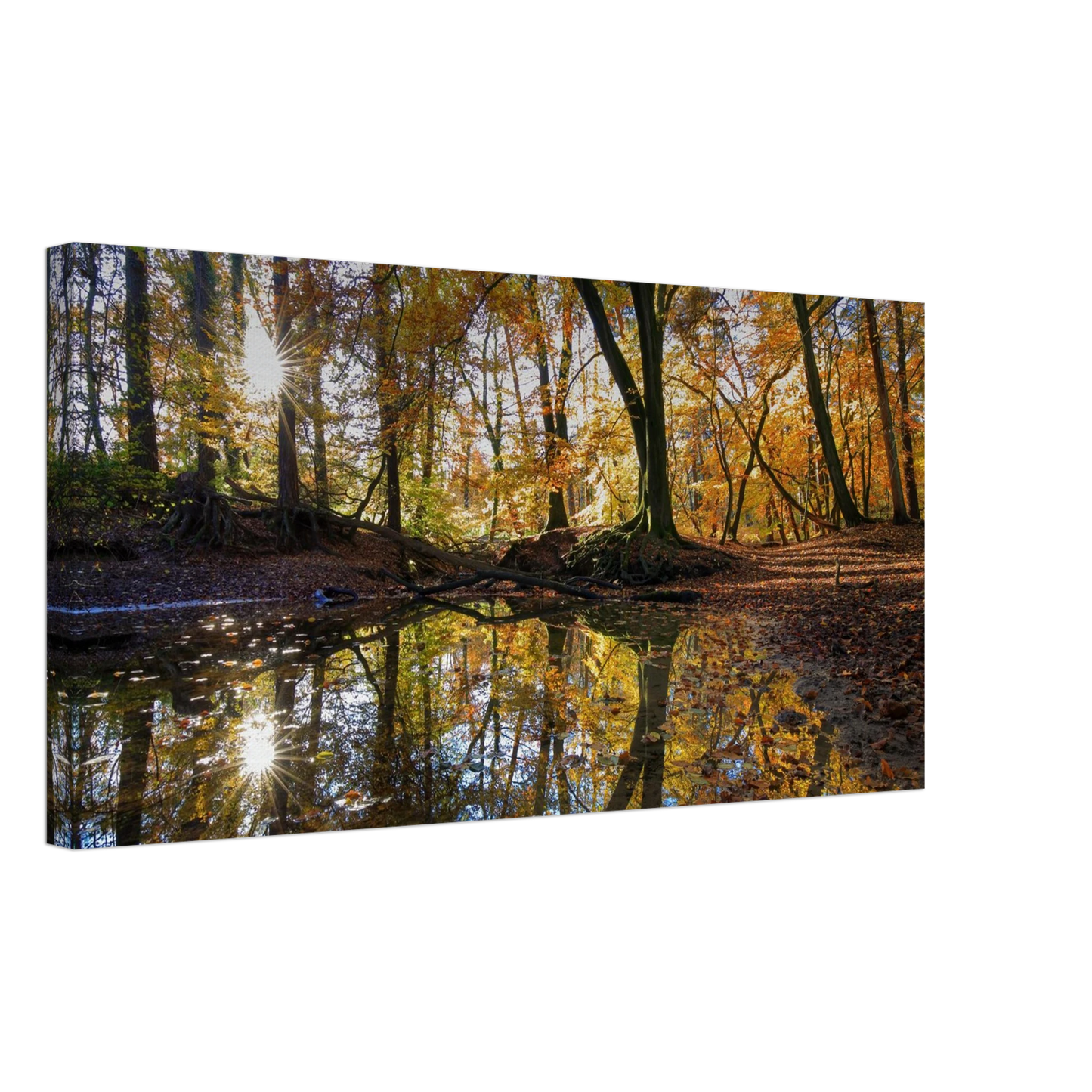 Wandbild goldener herbstwald stimmungsvolle spiegelung der natur in ihrer wunschgroesse