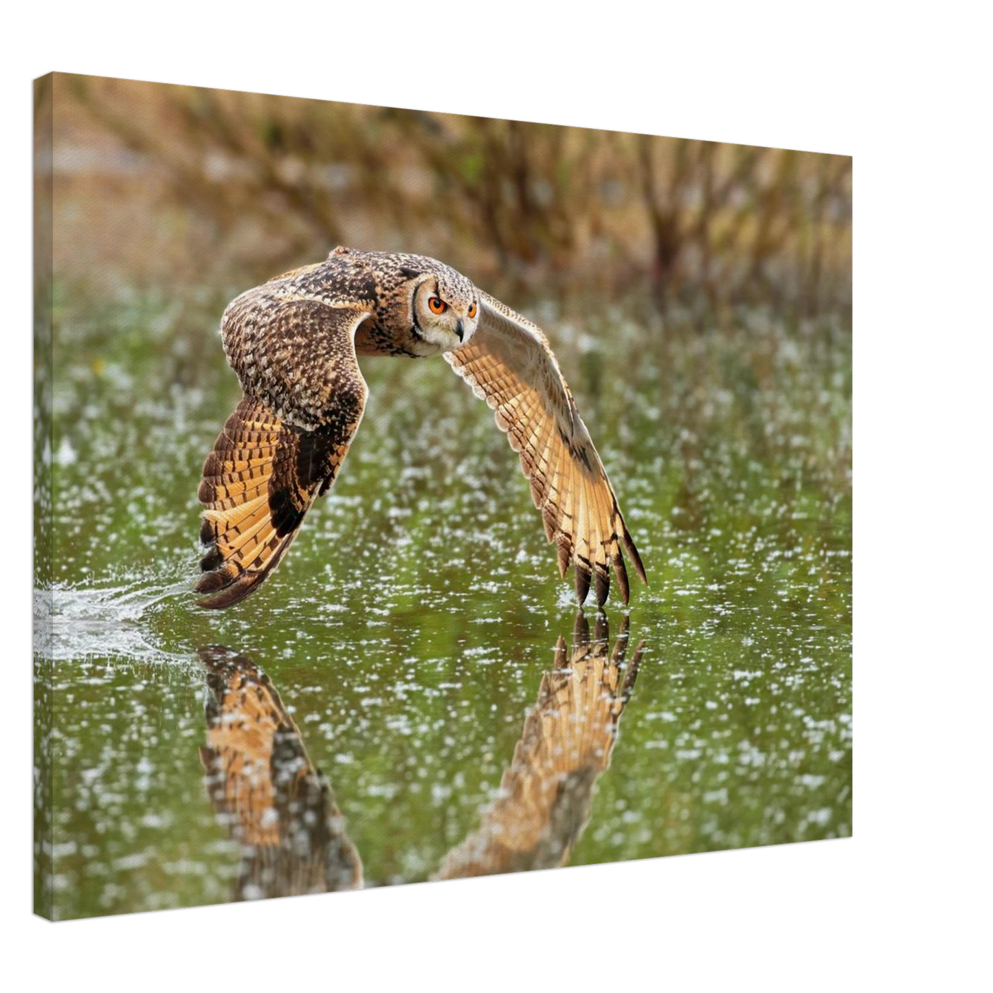 Wandbild majestaetische eule im flug naturfotografie mit lebendigen orangetoenen in ihrer wunschgroesse