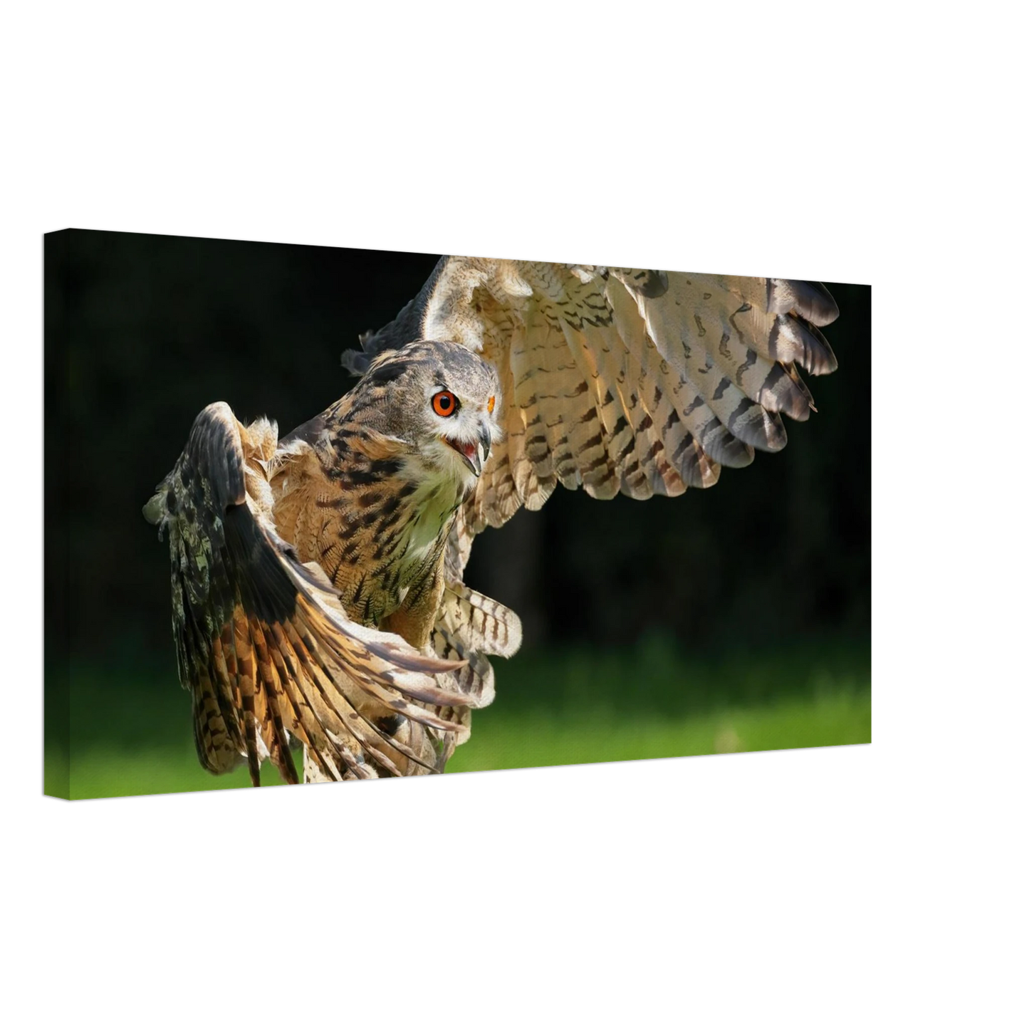 Wandbild majestaetische eule im flug ausdrucksstarke wandkunst fuer ihr zuhause