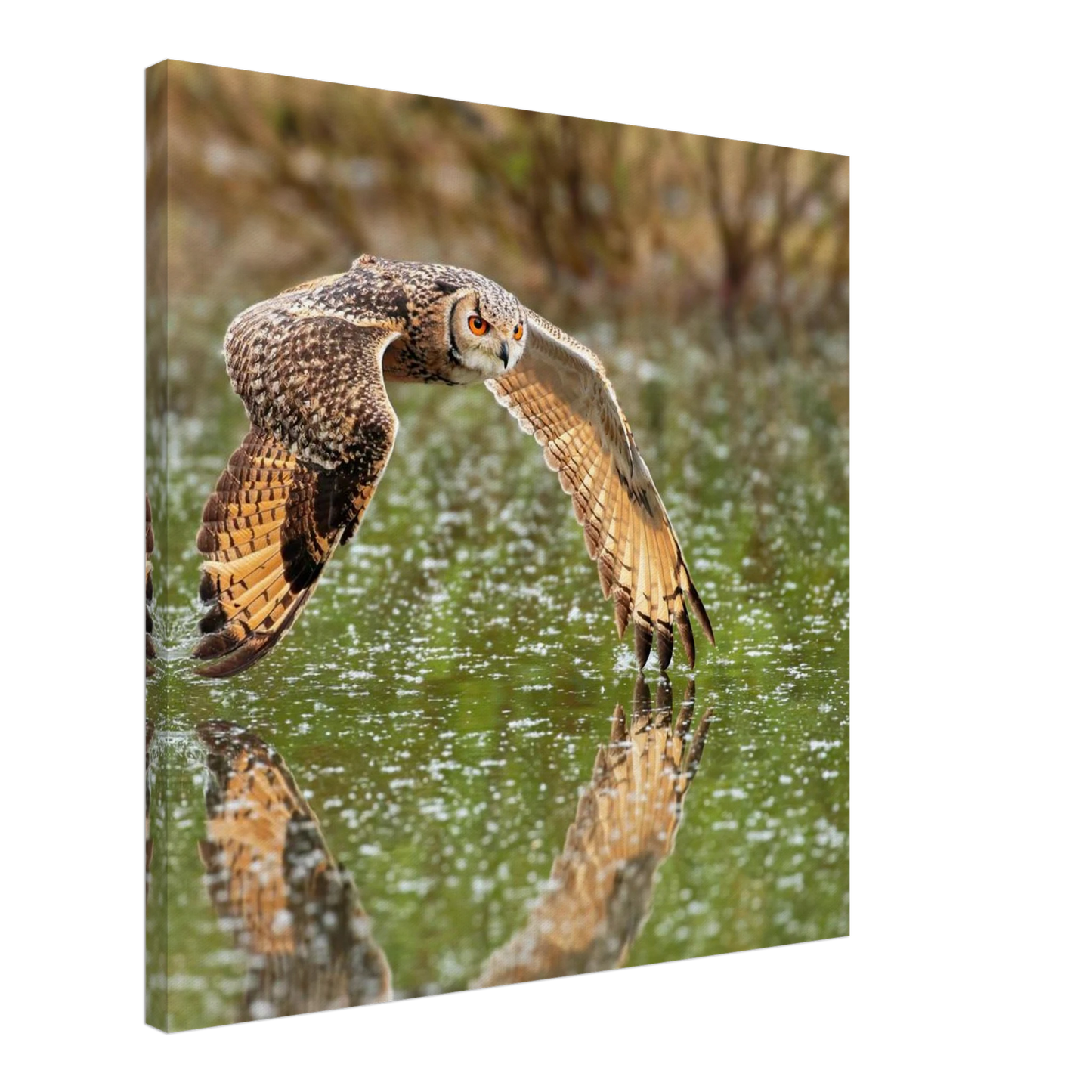 Wandbild majestaetische eule im flug naturfotografie mit lebendigen orangetoenen in ihrer wunschgroesse