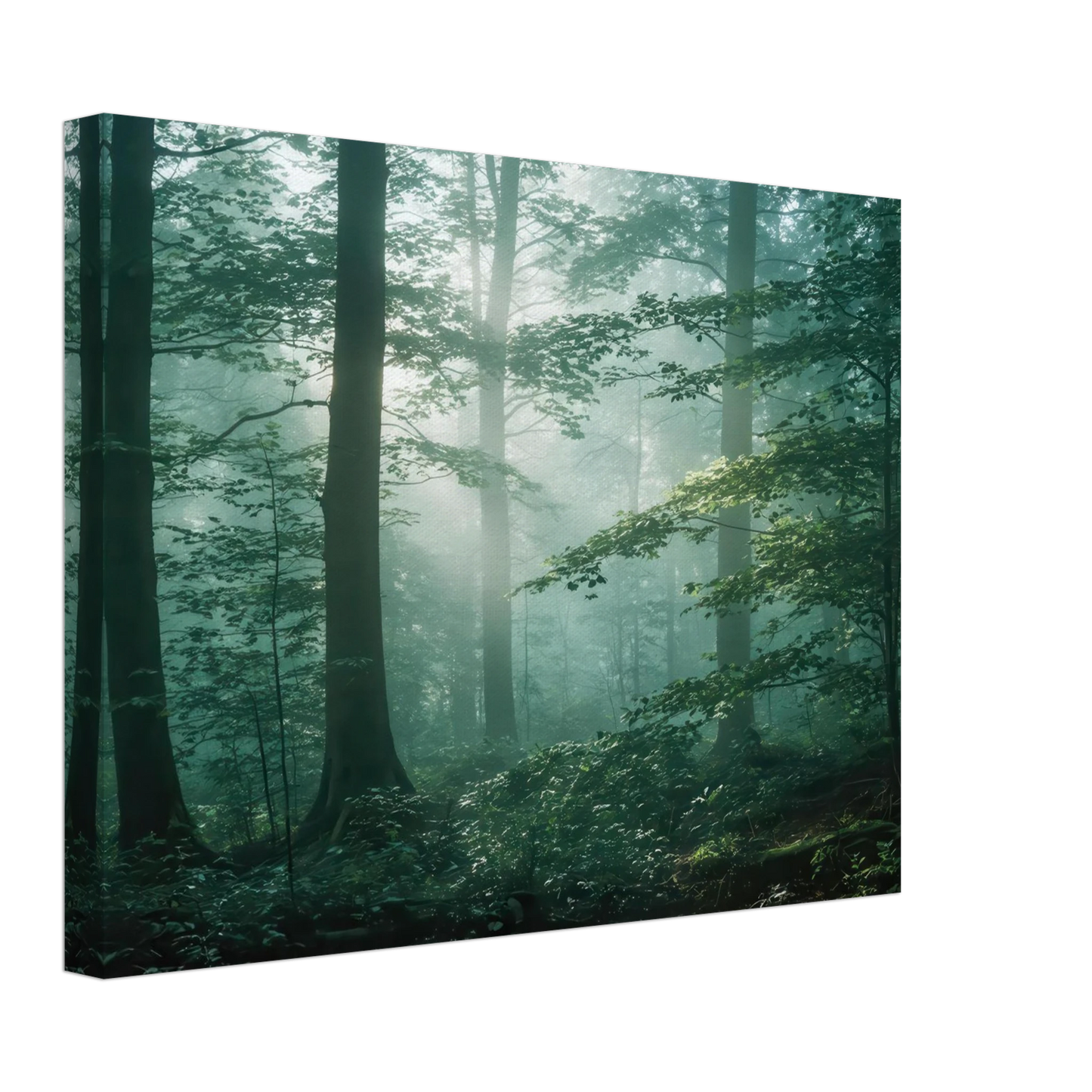 Wandbild mystischer smaragd wald mit sonnenstrahlen beruhigende nebelwald kunst in ihrer wunschgroesse