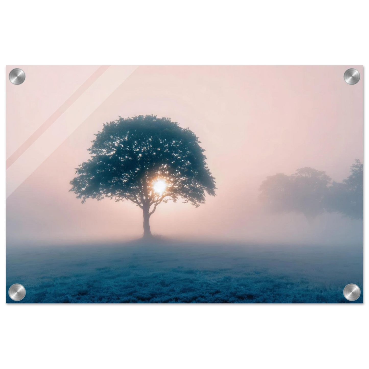 Wandbild mystischer morgendaemmerung baum traumhaftes landschaftsbild fuer ihre wohlfuehloase