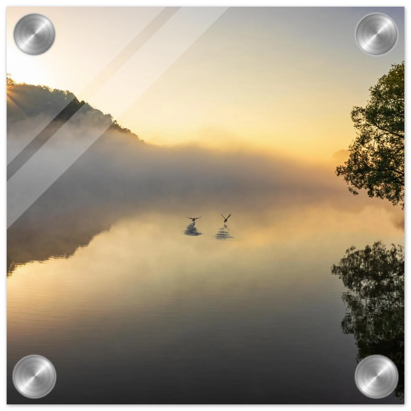 Wandbild mystischer sonnenaufgang ueber dem nebelmeer stille wasser voegel leinwandbild fuer ihr zuhause