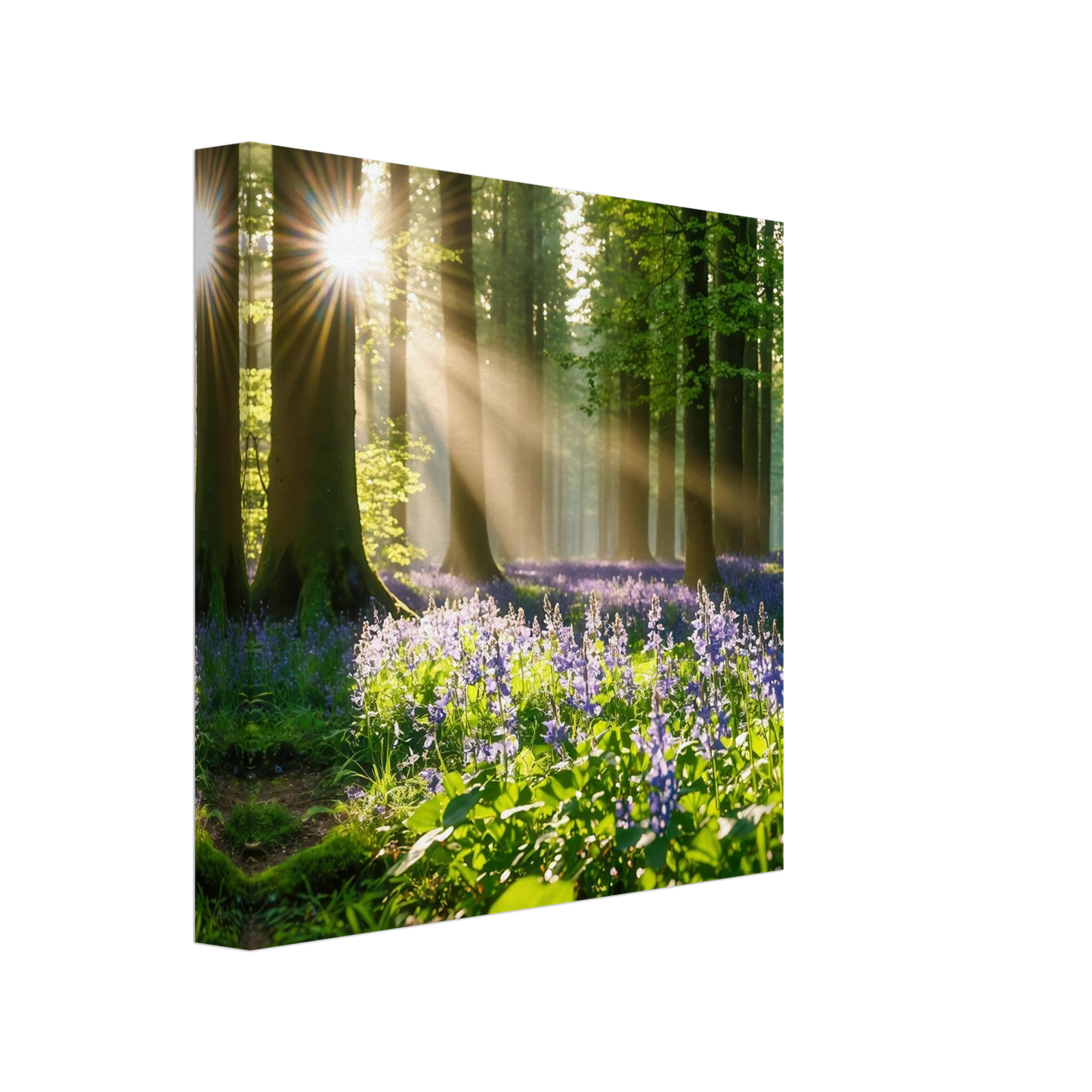 Wandbild mystischer morgenwald mit sonnenstrahlen und lila blueten in vielen groessen