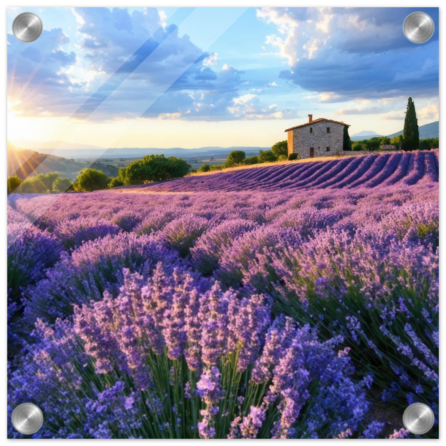 Wandbild sonnenuntergang ueber lavendelfeldern idyllische provence landschaft im wunschformat